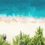 پوستر دیواری ساحل و جنگل کد 10010800