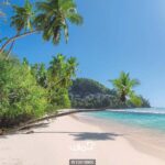 پوستر دیواری ساحل و جنگل کد 10010900