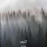 پوستر دیواری هنری طبیعت و منظره کد 10016800