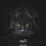 پوستر دیواری ببر سیاه کد 10017300