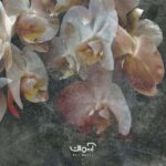 پوستر دیواری سه بعدی گل ارکیده کد 1718016