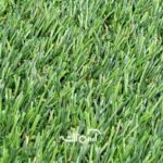 چمن مصنوعی 25 میل پاییزه رویال