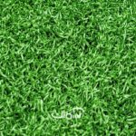 چمن مصنوعی 15 میل بهاره صدف فر